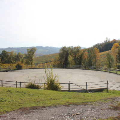 Tondino Ø 30 m