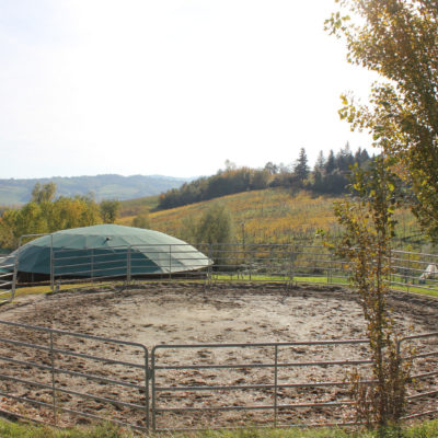 Tondino Ø 14 m