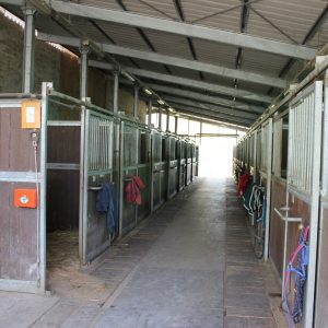 R_IMG_2079